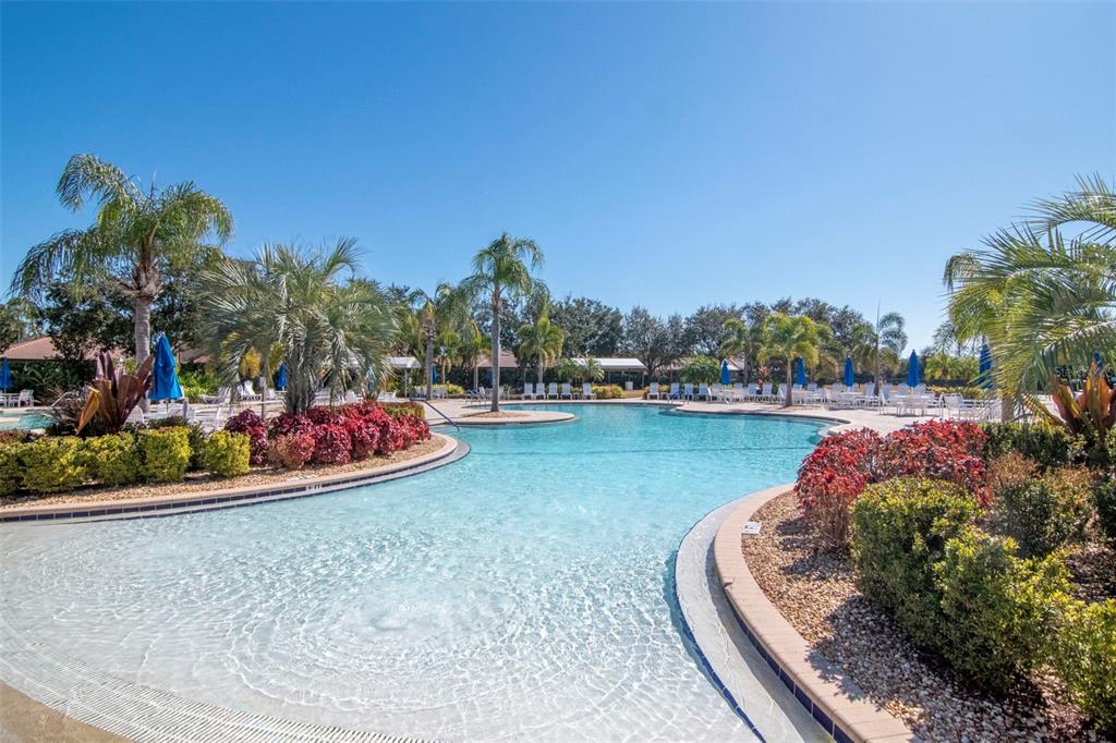 125 Shell Falls Drive Apollo Beach, FL 33572 - Photo 2 of 48 a view of a garden with outdoor space
