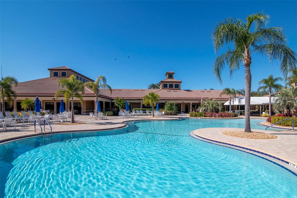 125 Shell Falls Drive Apollo Beach, FL 33572 - Photo 38 of 48 a view of a swimming pool with lawn chairs under an umbrella