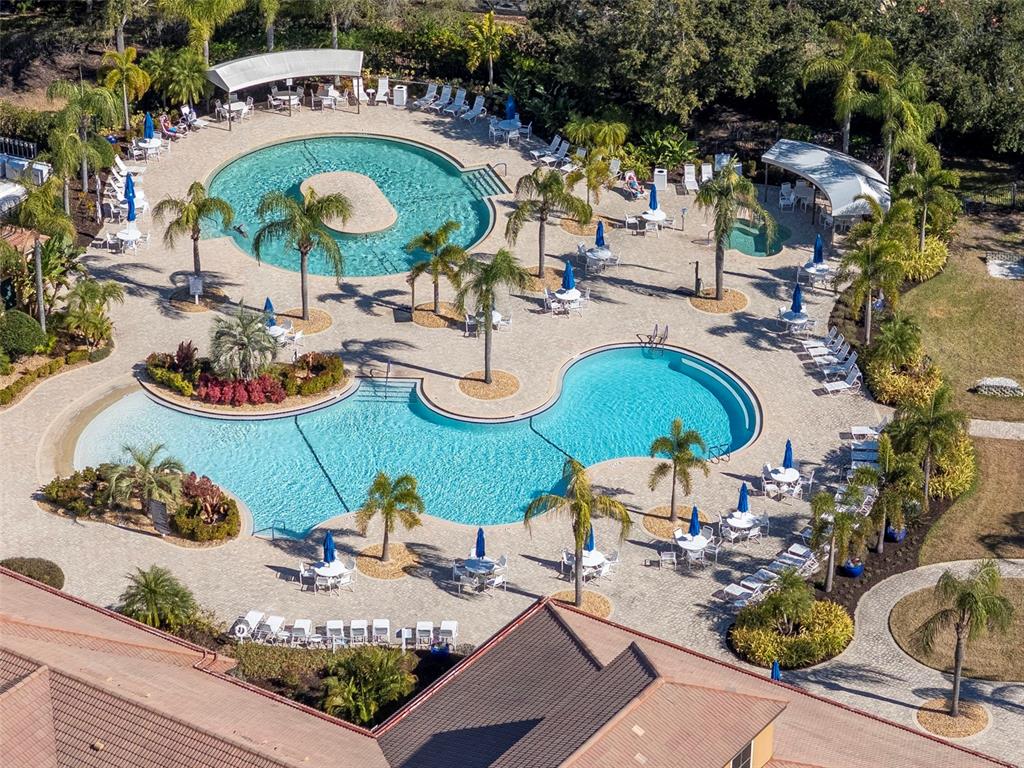 125 Shell Falls Drive Apollo Beach, FL 33572 - Photo 43 of 48 a view of a swimming pool with outdoor seating