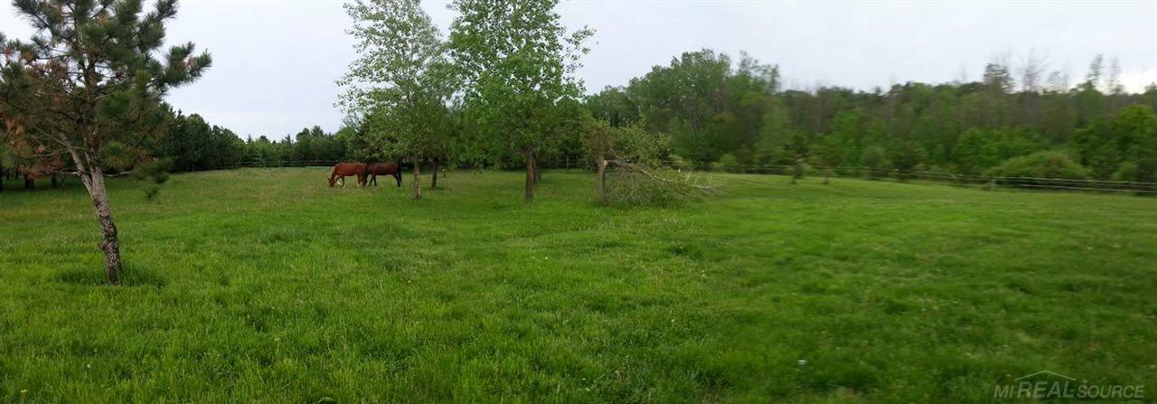 6300 Aitken Road Croswell, MI 48422 - Photo 6 of 53