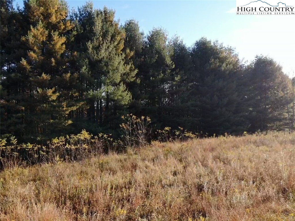 L20 Ridgeline Way Sparta, NC 28675 - Photo 11 of 25 Gallery Image 11