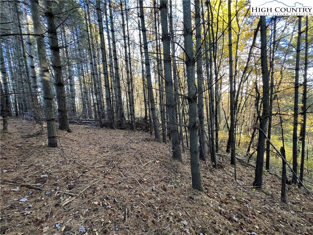 L20 Ridgeline Way Sparta, NC 28675 - Photo 17 of 25 Gallery Image 17