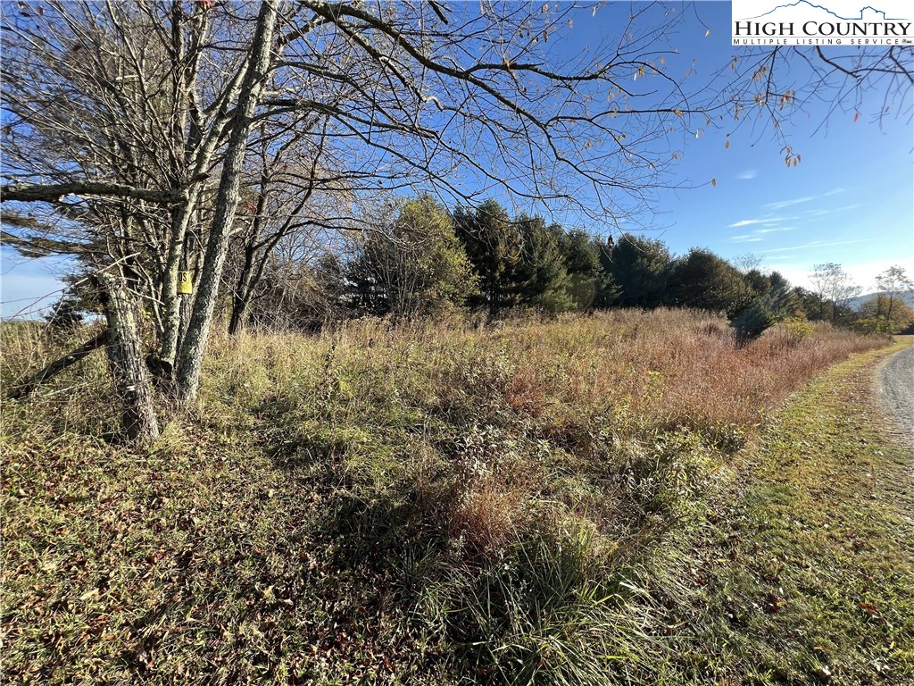 L20 Ridgeline Way Sparta, NC 28675 - Photo 22 of 25 Gallery Image 22