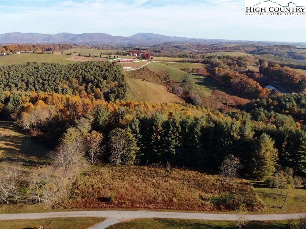 L20 Ridgeline Way Sparta, NC 28675 - Photo 4 of 25 Gallery Image 4