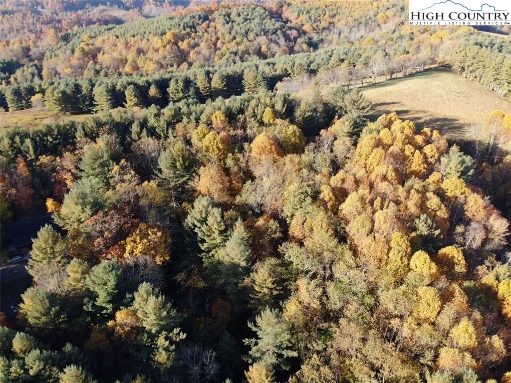 L20 Ridgeline Way Sparta, NC 28675 - Photo 6 of 25 Gallery Image 6