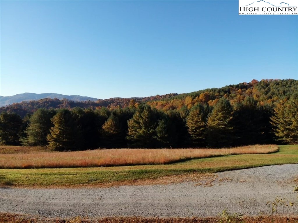 L20 Ridgeline Way Sparta, NC 28675 - Photo 8 of 25 Gallery Image 8