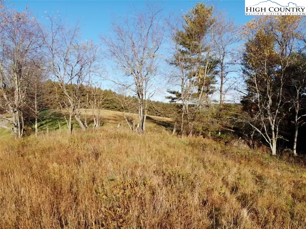 L20 Ridgeline Way Sparta, NC 28675 - Photo 10 of 25 Gallery Image 10
