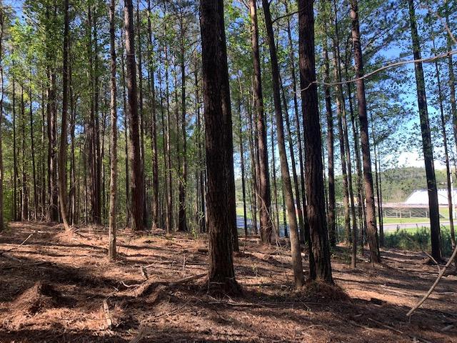 Lot 33 Crow Road Dalton, GA 30721 - Photo 2 of 3 IMG_8137
