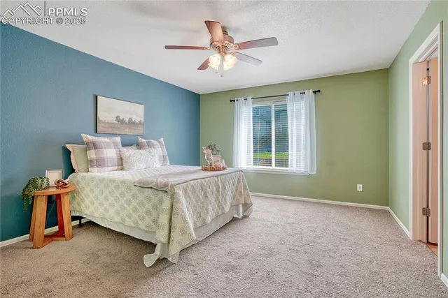 a view of a backyard with couches plants and large trees