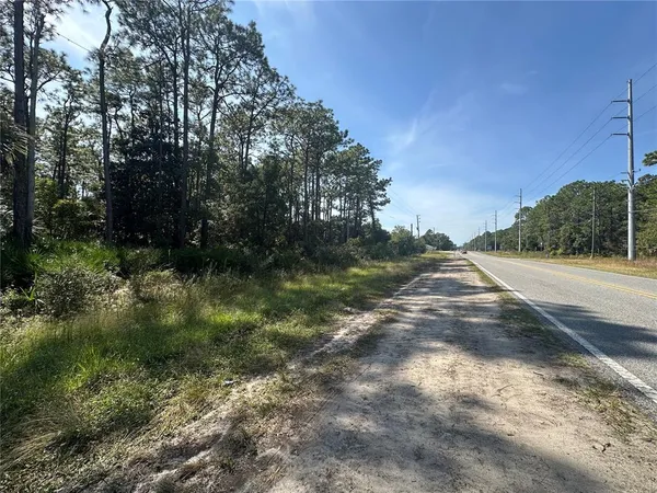 a view of a street view with large trees