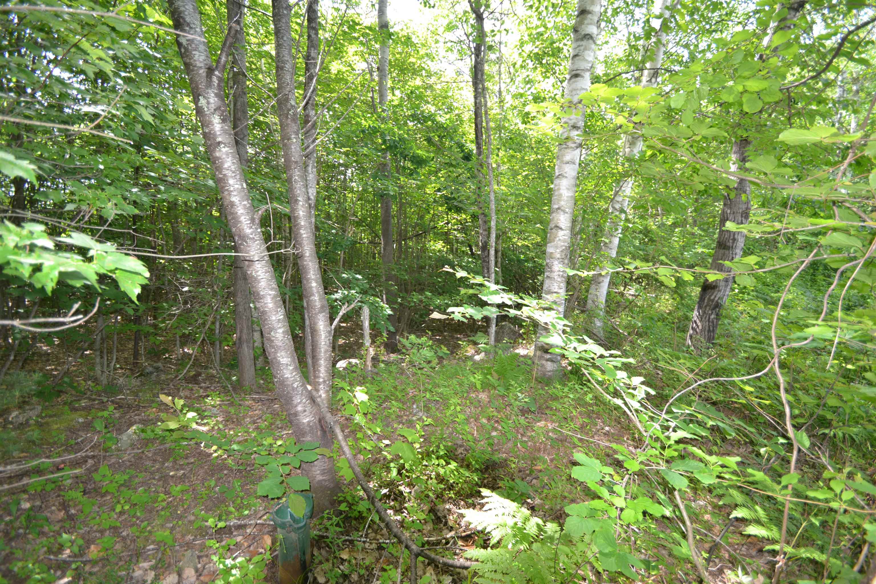 96 Lane Road Holderness, NH 03245 - Photo 16 of 16