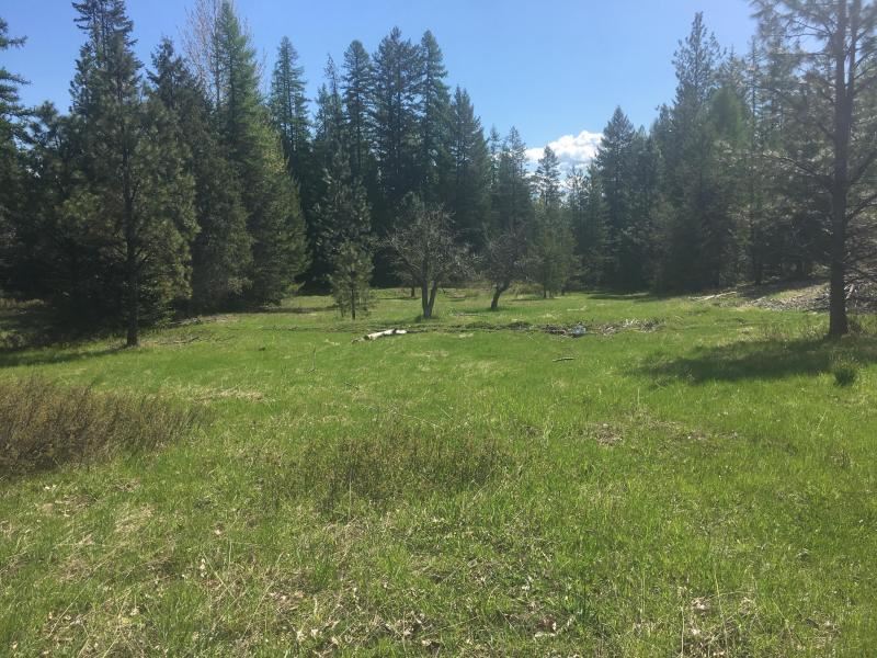 1554 South Basin Road Colville, WA 99114 - Photo 14 of 14