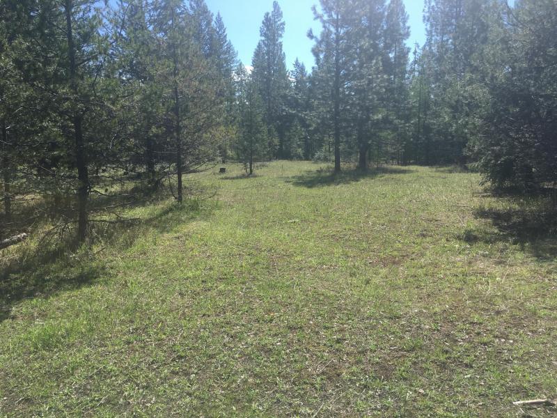 1554 South Basin Road Colville, WA 99114 - Photo 4 of 14