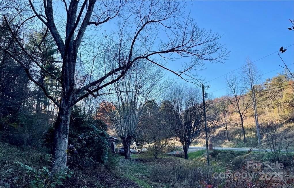 a view of a backyard of the house