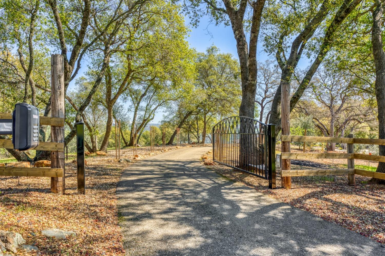5161 Coyote Pass Road Shingle Springs, CA 95682 - Photo 48 of 48 a view of road with large trees