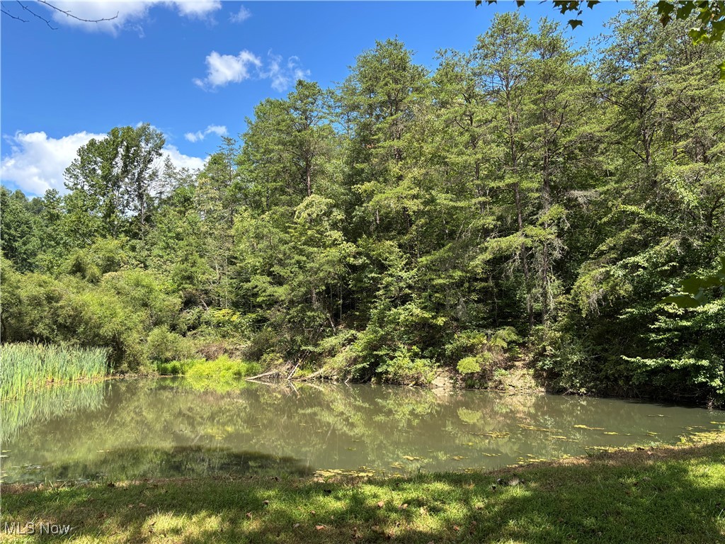 8089 Elk Fork Road Middlebourne, WV 26149 - Photo 43 of 50 Pond Fed By Three Springs