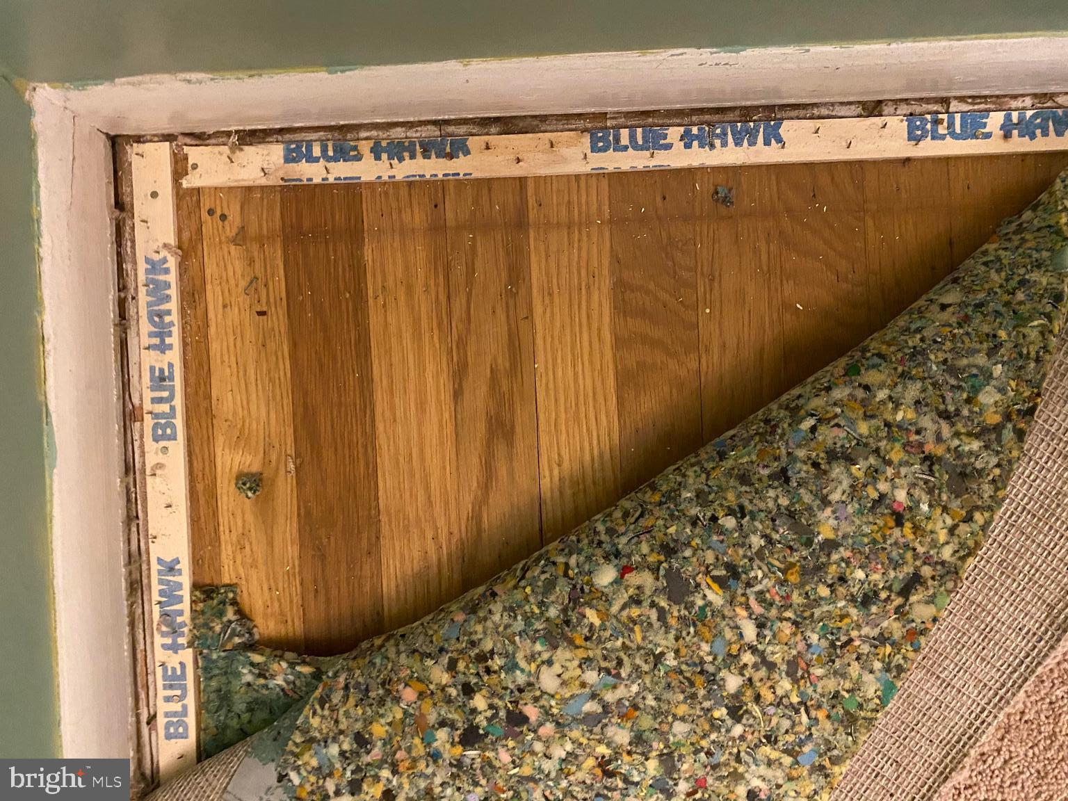 8528 Verree Road Philadelphia, PA 19111 - Photo 8 of 47 Unit 1 - Floors Under Carpet - Dining Area