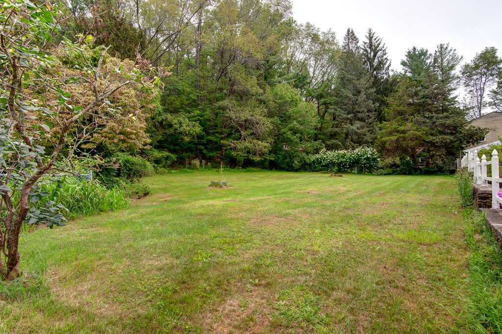 112 Wallace Road Sturbridge, MA 01566 - Photo 10 of 30 a view of a green field with trees in the background