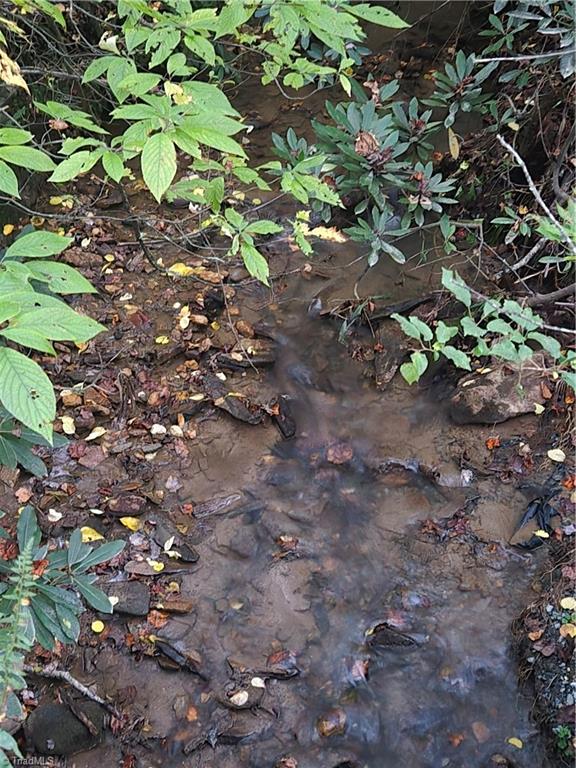 0 Orchard Road Deep Gap, NC 28618 - Photo 3 of 19