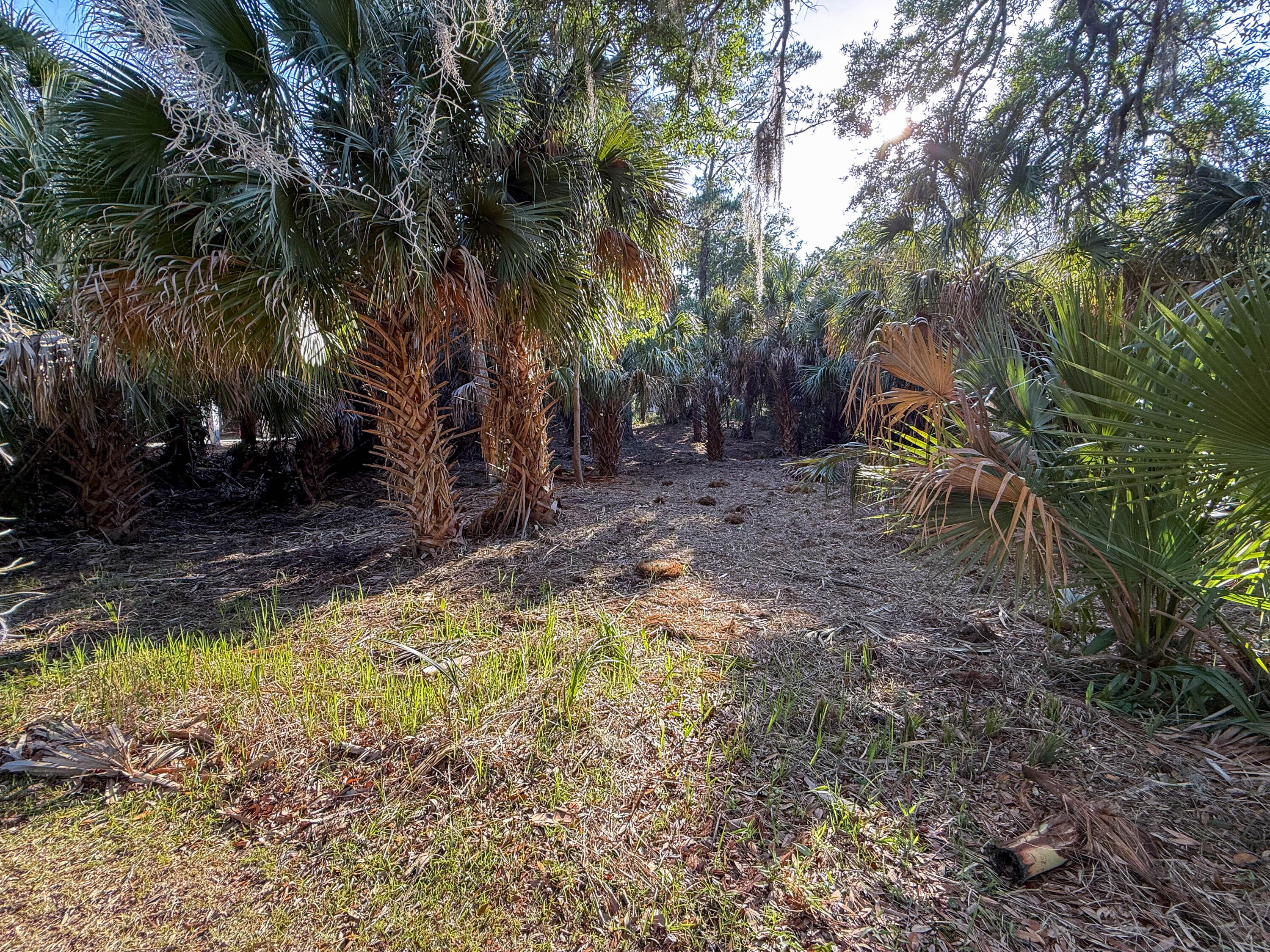 3303 Fort Street Edisto Island, SC 29438 - Photo 22 of 27 Fort-Lot-22
