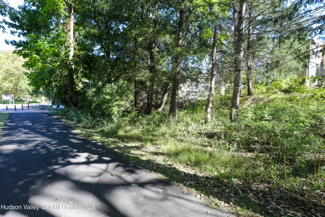 a view of a green yard