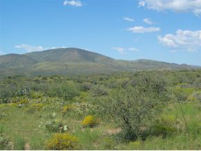 12585 East Windmill Road Skull Valley, AZ 86338 - Photo 2 of 4 Additional Photo