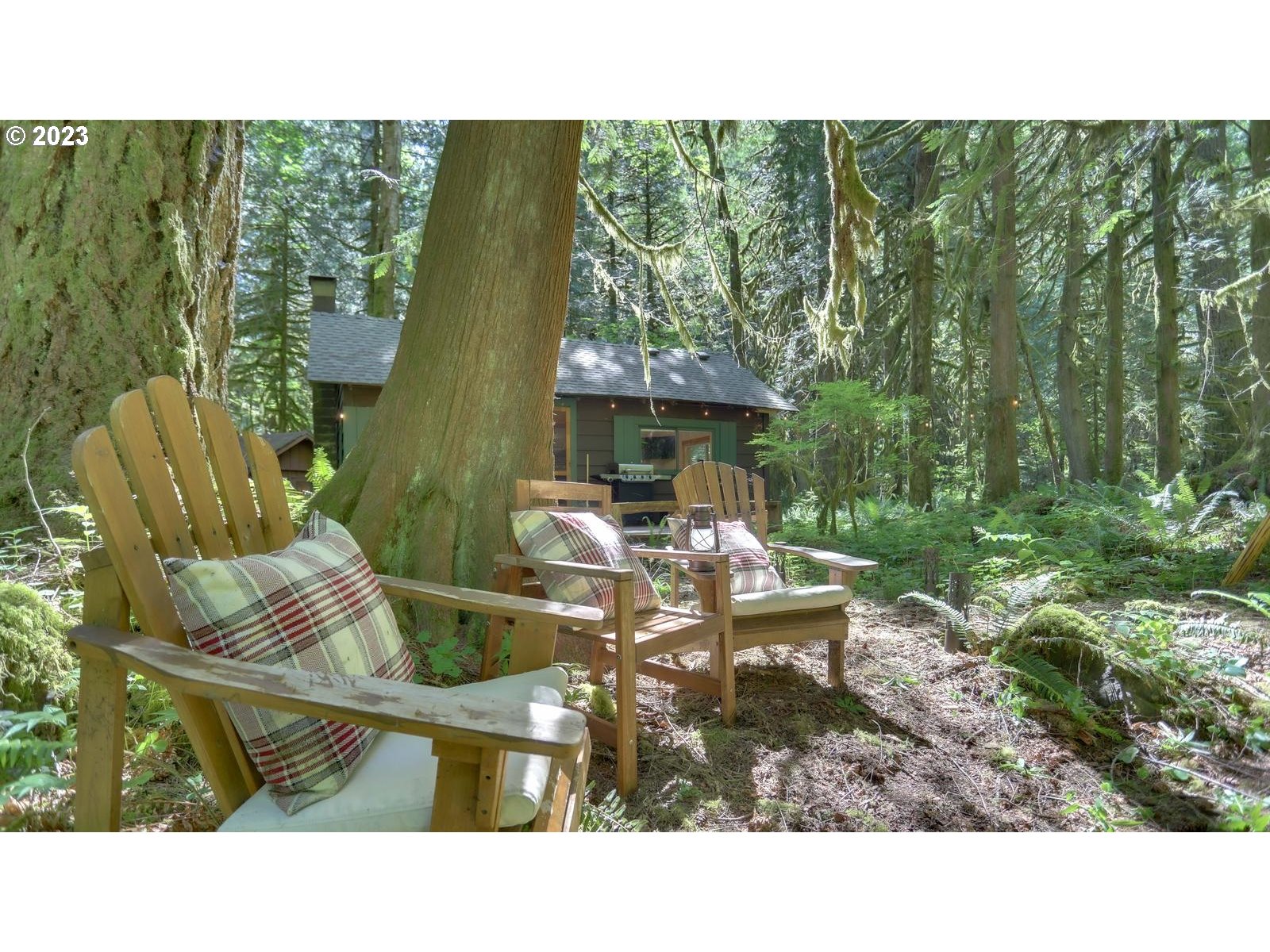 27525 Road 20, Unit LOT 4 Rhododendron, OR 97049 - Photo 20 of 28 Gallery Image 20