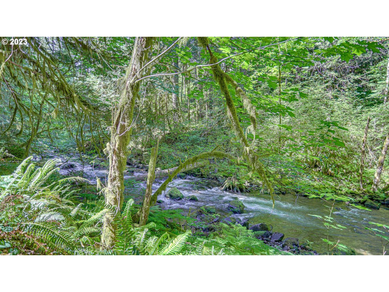 27525 Road 20, Unit LOT 4 Rhododendron, OR 97049 - Photo 21 of 28 Gallery Image 21