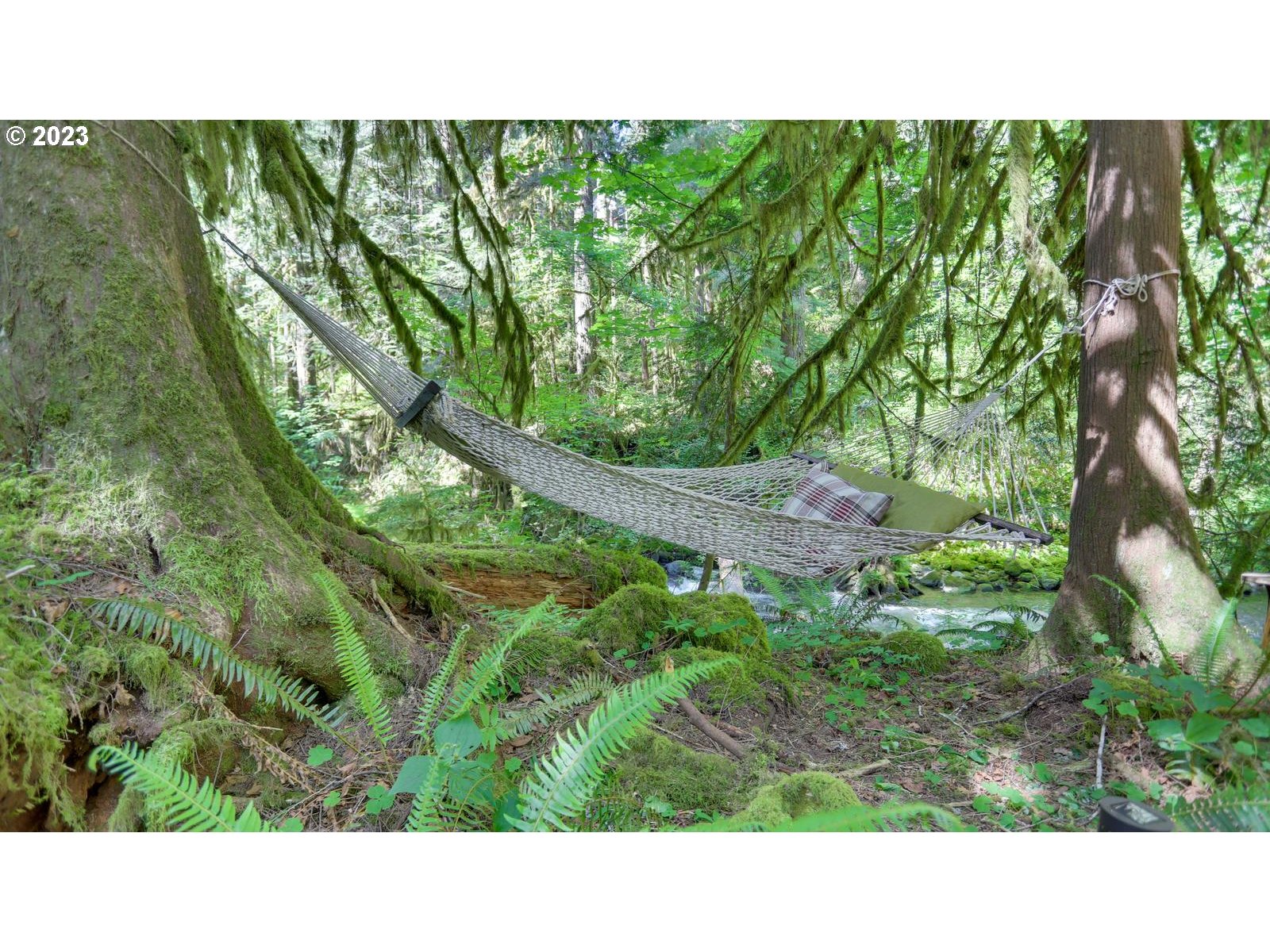27525 Road 20, Unit LOT 4 Rhododendron, OR 97049 - Photo 23 of 28 Gallery Image 23