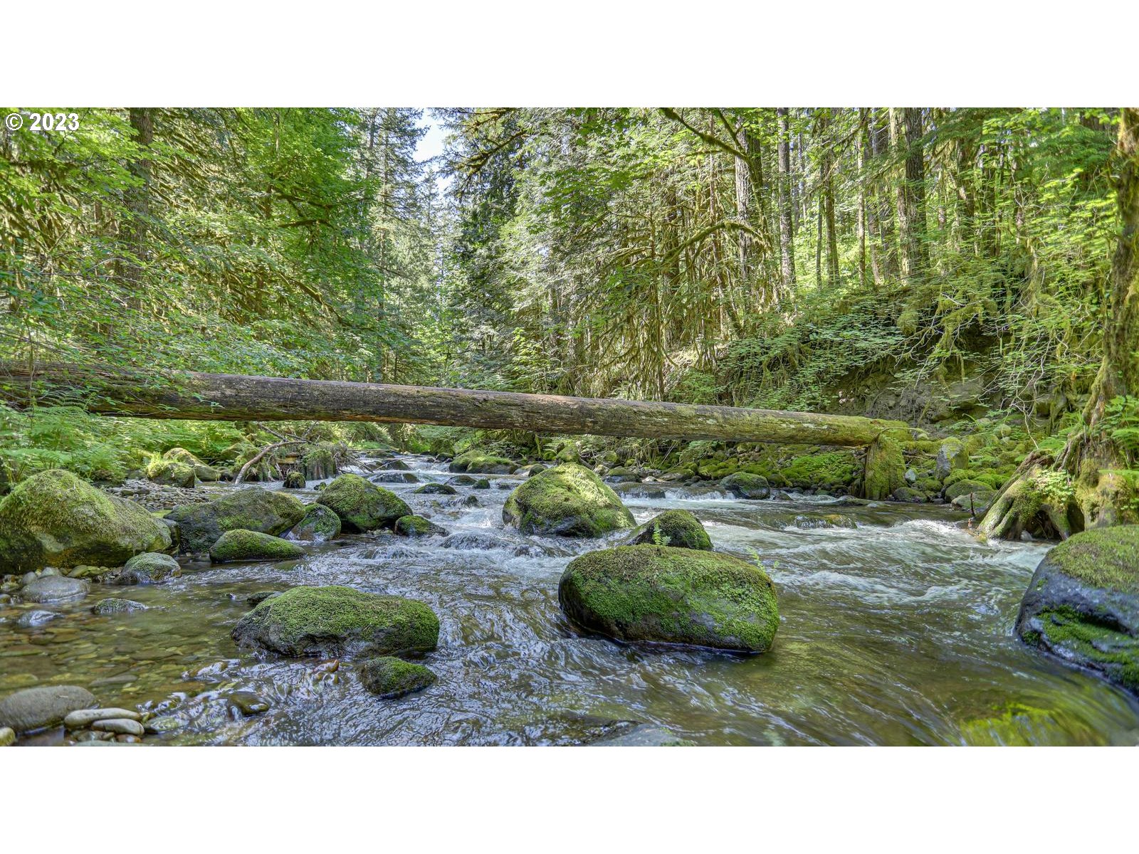 27525 Road 20, Unit LOT 4 Rhododendron, OR 97049 - Photo 24 of 28 Gallery Image 24