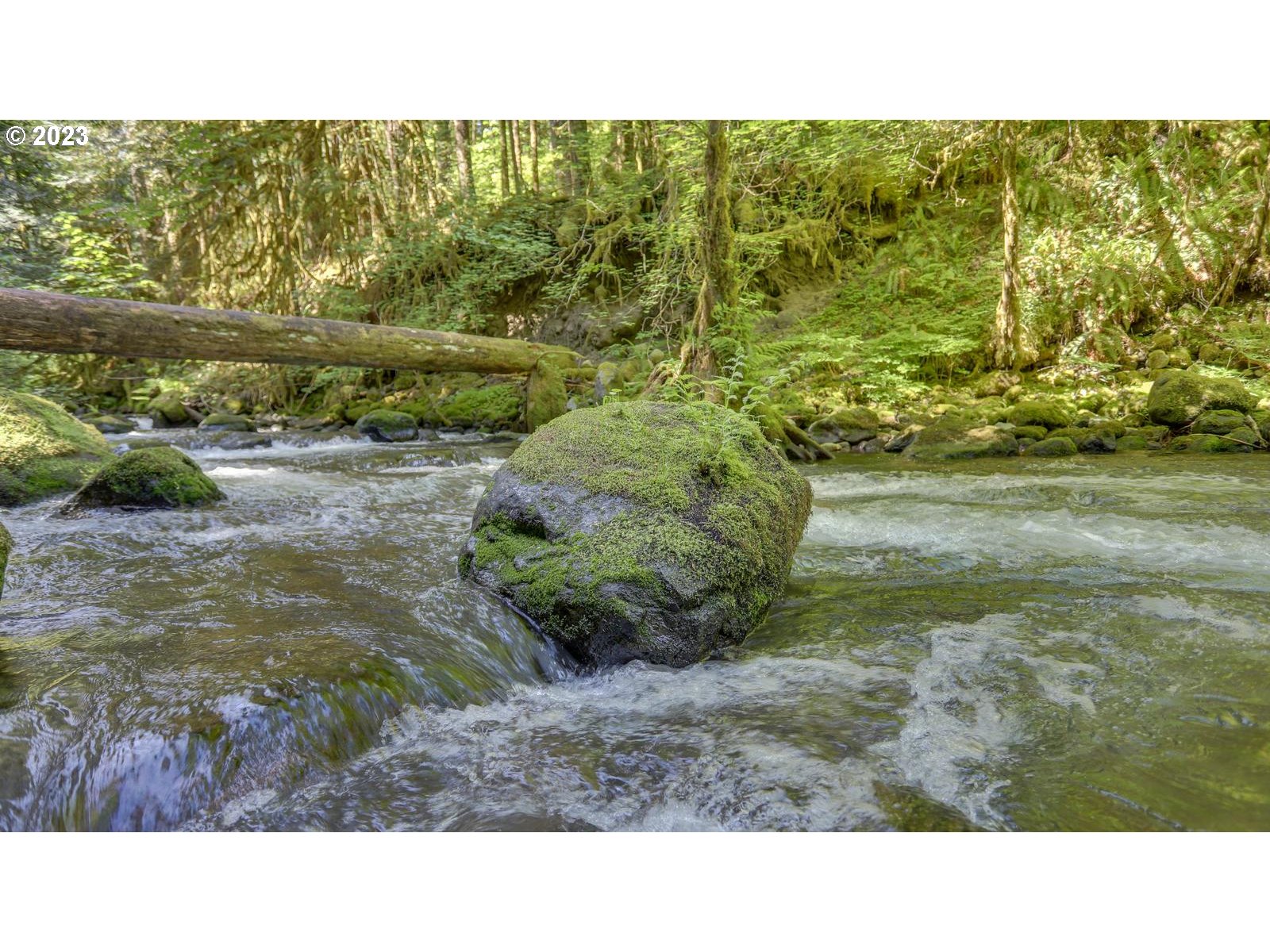 27525 Road 20, Unit LOT 4 Rhododendron, OR 97049 - Photo 25 of 28 Gallery Image 25