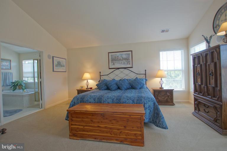 18294 Tupelo Ridge Terrace Leesburg, VA 20176 - Photo 3 of 24 Bedroom (Master)