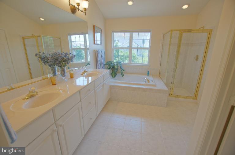 18294 Tupelo Ridge Terrace Leesburg, VA 20176 - Photo 8 of 24 Bath (Master)