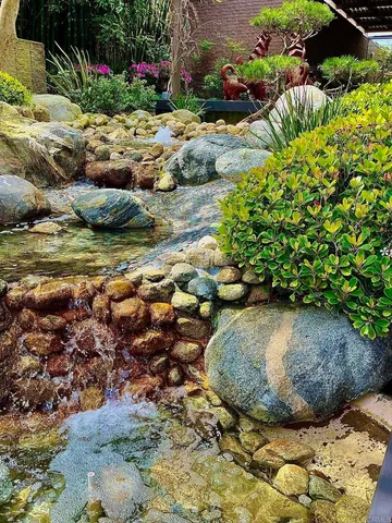 a view of a yard with plants and large trees