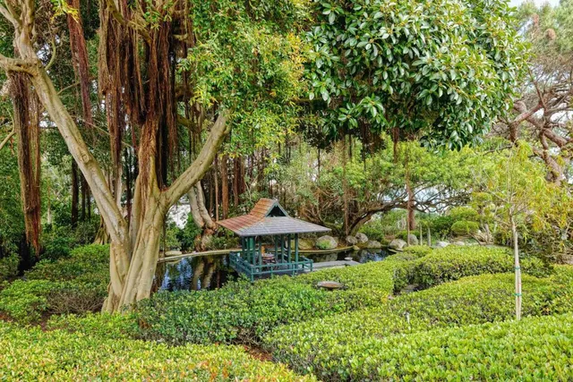 a garden view with a seating space