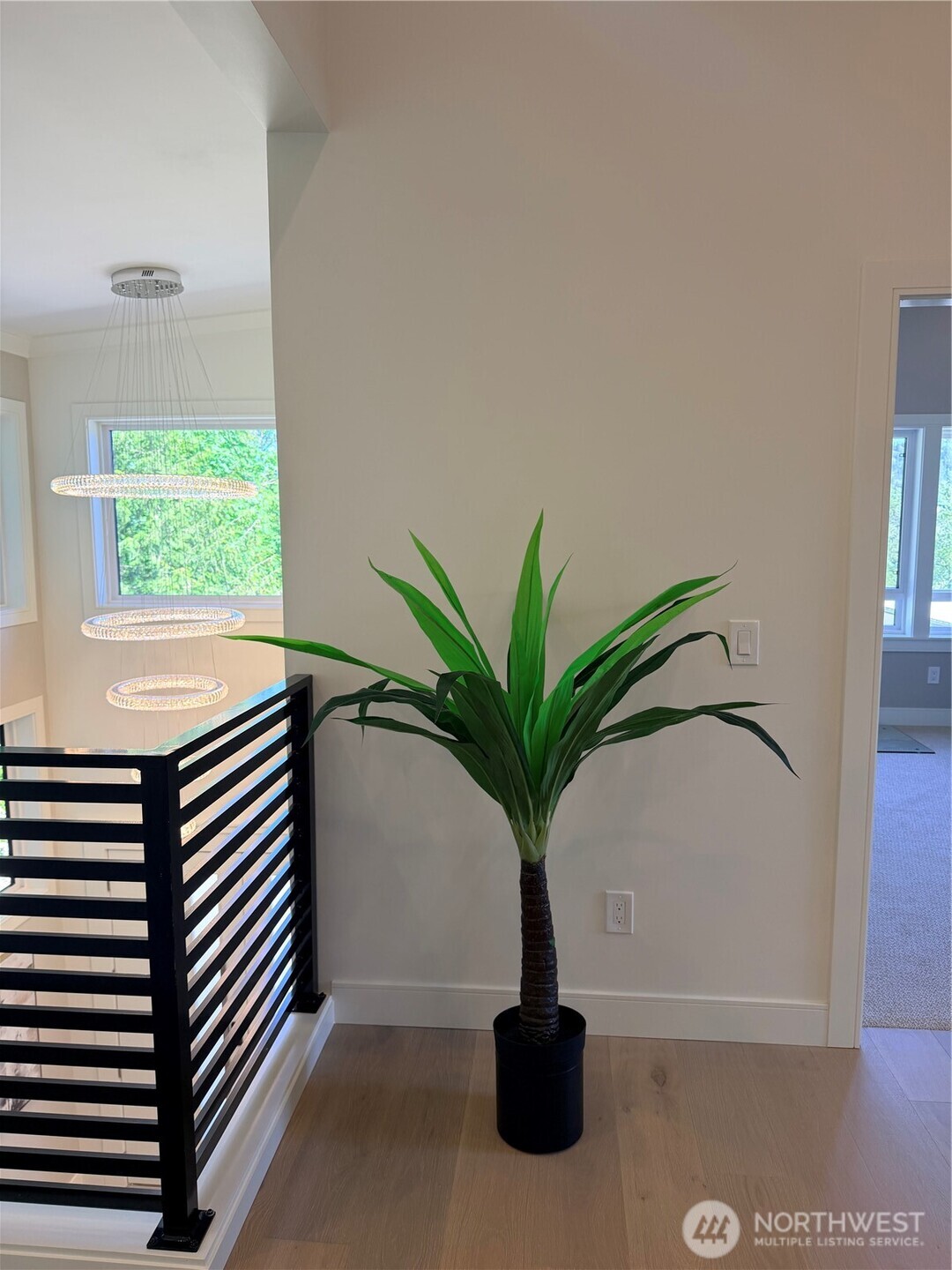 4305 Northeast 26th Court Renton, WA 98059 - Photo 33 of 40 a potted plant sitting in front of a window