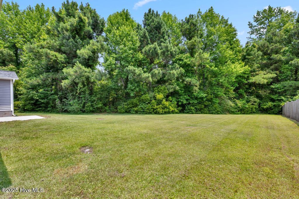 723 Queens Creek Road Hubert, NC 28539 - Photo 21 of 22 IMG_3015
