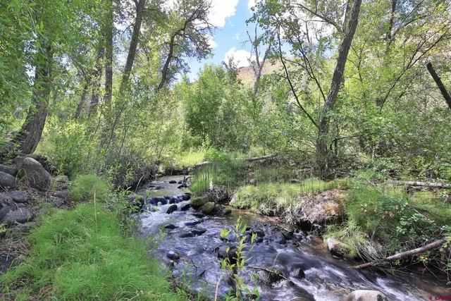 a view of a yard with a large tree