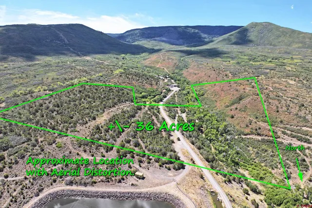 a view of a lush green hillside and a houses