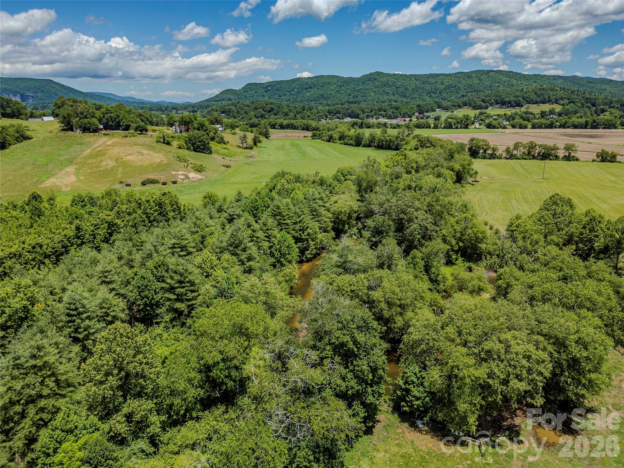 Tbd Canebrake Road Pisgah Forest, NC 28768 - Photo 22 of 43