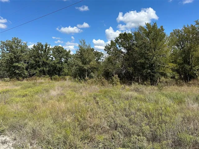 a view of a bunch of trees and bushes