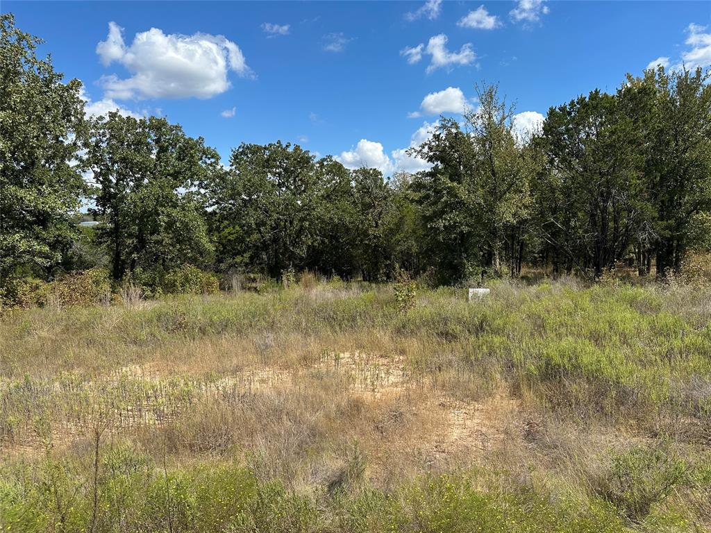 1020 Rose Court Nemo, TX 76070 - Photo 3 of 15 a view of a yard with a tree