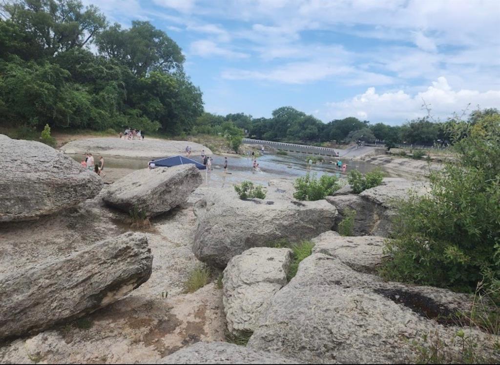 1020 Rose Court Nemo, TX 76070 - Photo 8 of 15 a view of a dry yard with wooden fence