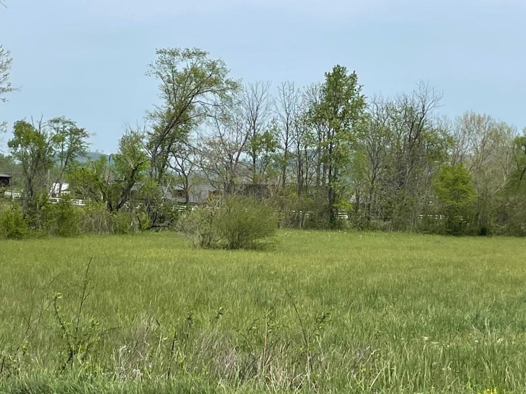 0 Line Springs Road Sevierville, TN 37862 - Photo 4 of 8