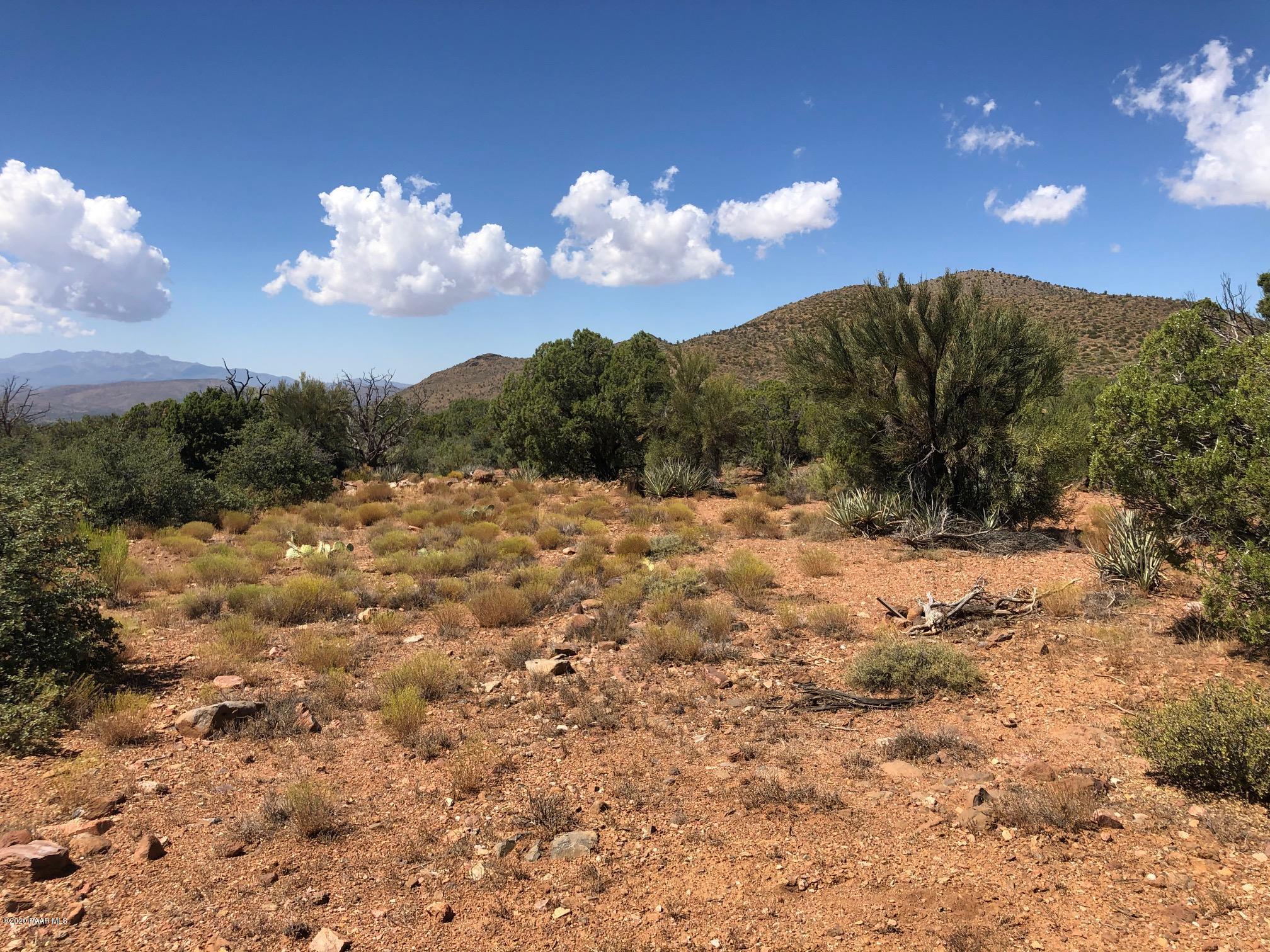 5820 Stipa Road Hackberry, AZ 86411 - Photo 14 of 20 IMG_6144