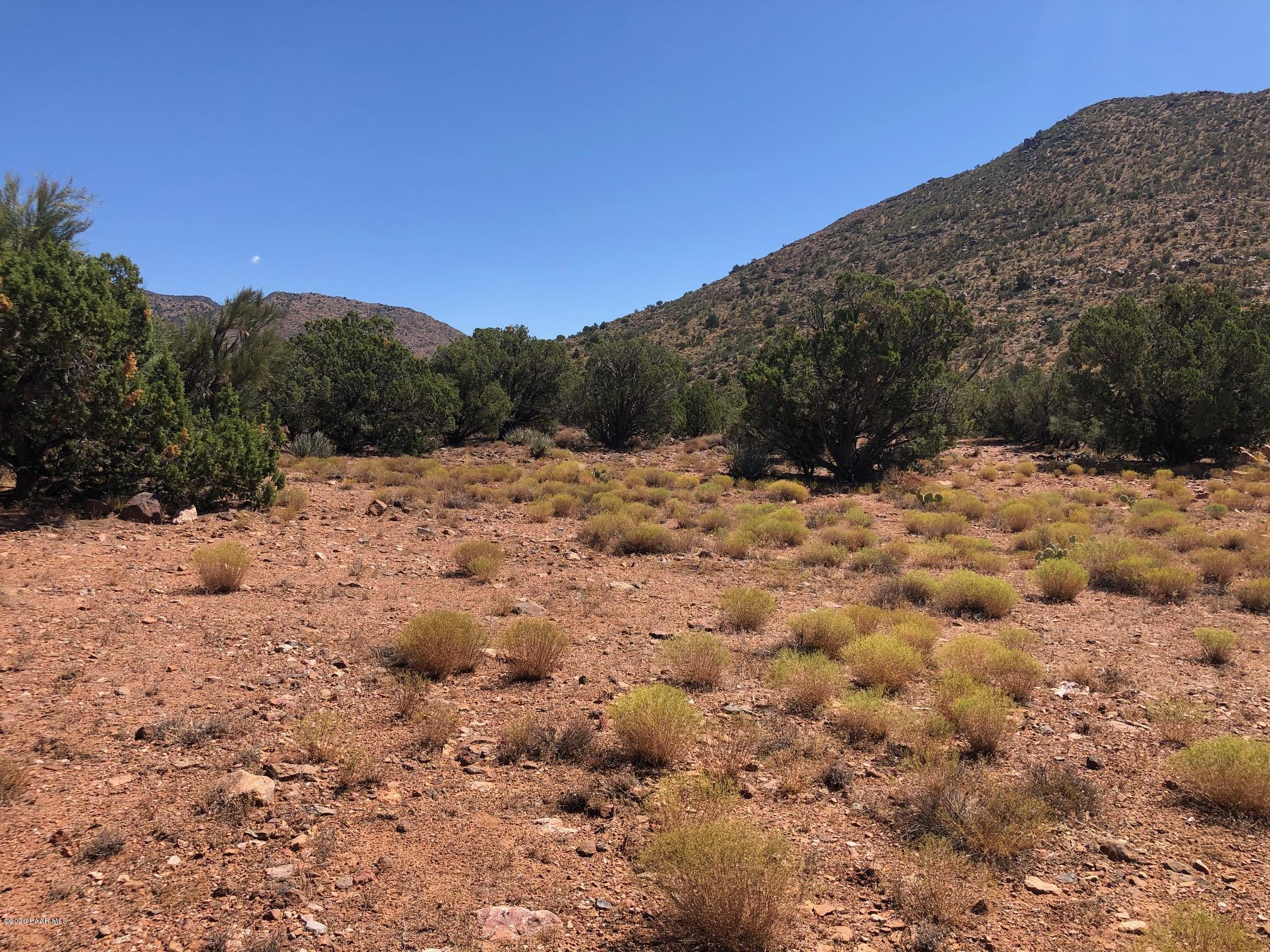 5820 Stipa Road Hackberry, AZ 86411 - Photo 15 of 20 IMG_6145