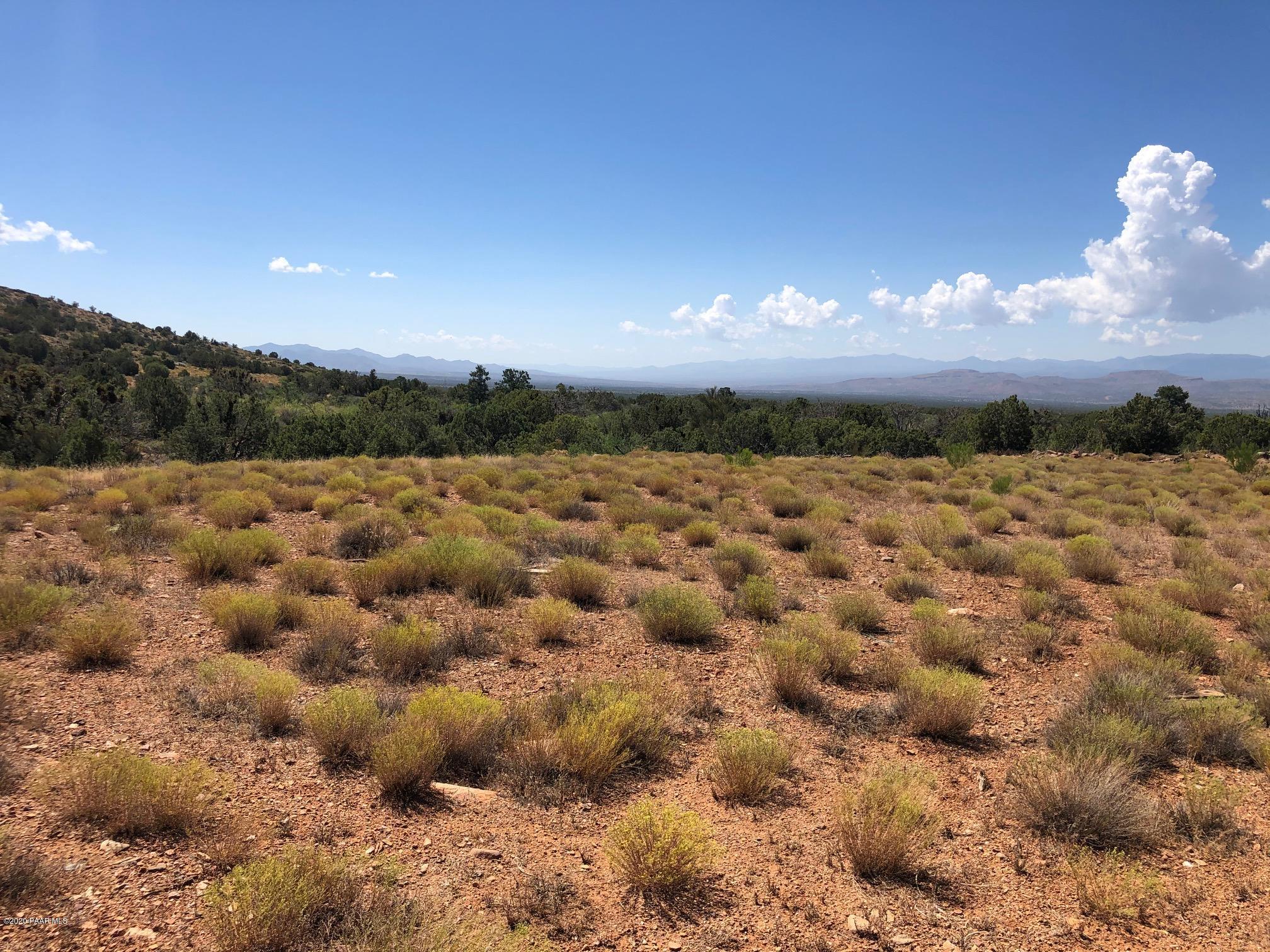 5820 Stipa Road Hackberry, AZ 86411 - Photo 17 of 20 IMG_6148