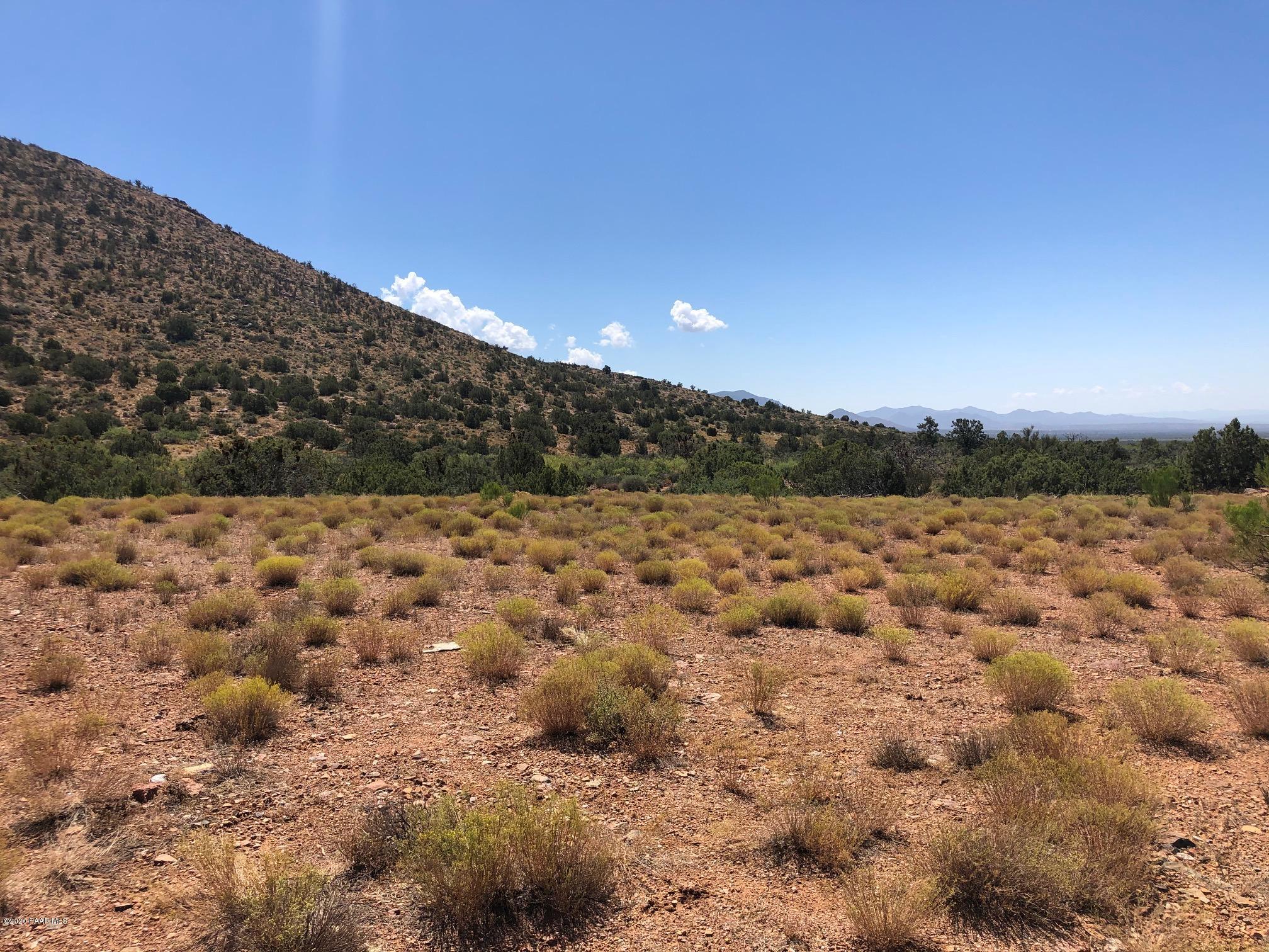 5820 Stipa Road Hackberry, AZ 86411 - Photo 10 of 20 IMG_6136