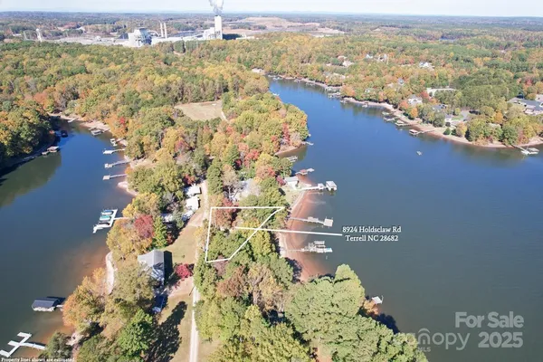 a view of a yard with a tree