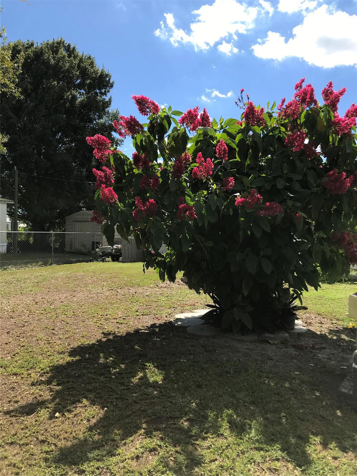 1192 Chobee Street Okeechobee, FL 34974 - Photo 15 of 18 Photo 15